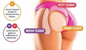 schéma représentatif des bienfaits de l'électrostimulation du fessier